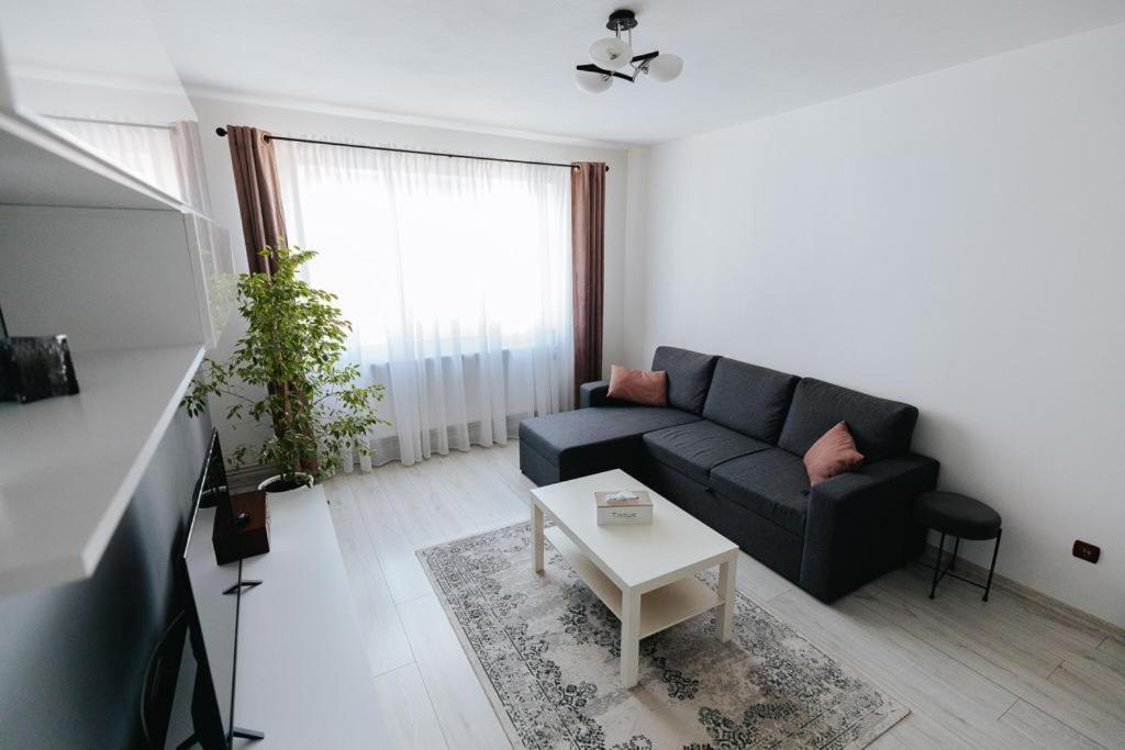 Scandinavian House Daire Târgu Jiu Dış mekan fotoğraf
